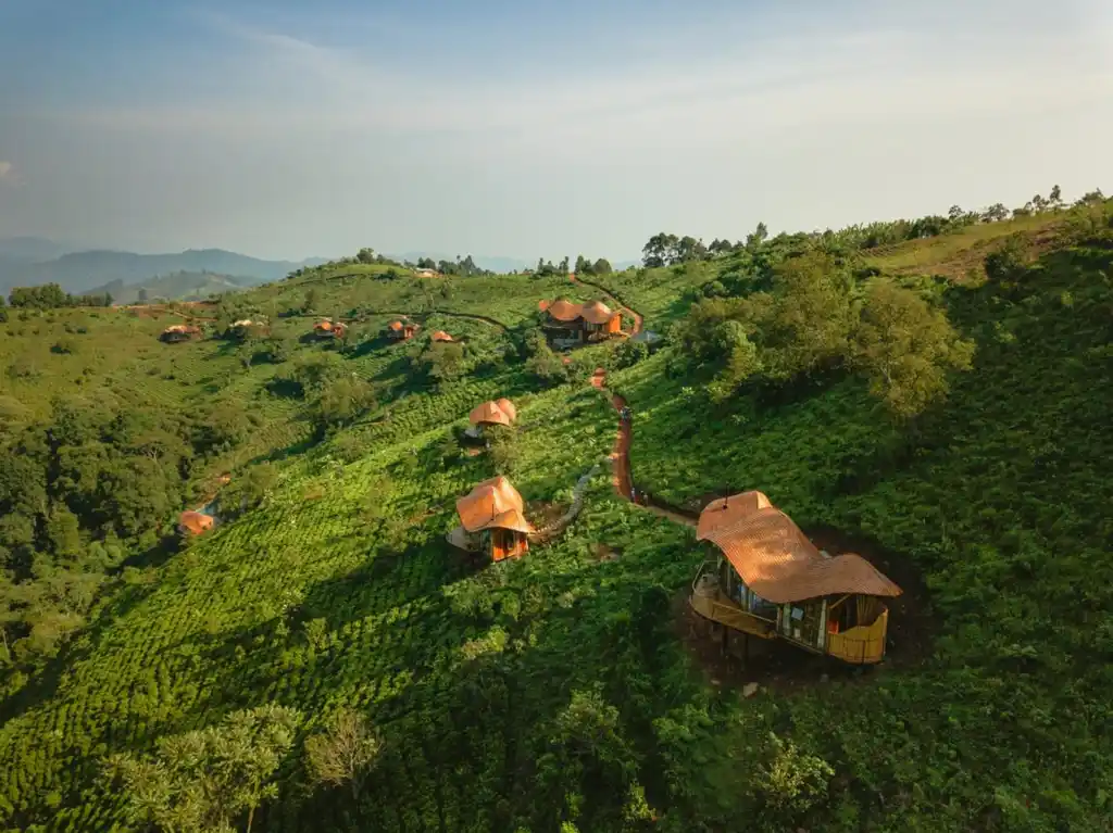 Aerial Rooftops Erebero Hills Bwindi Uganda Asilia