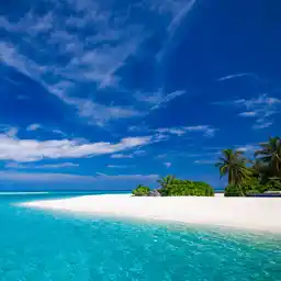 The Wild Islands of the Indian Ocean