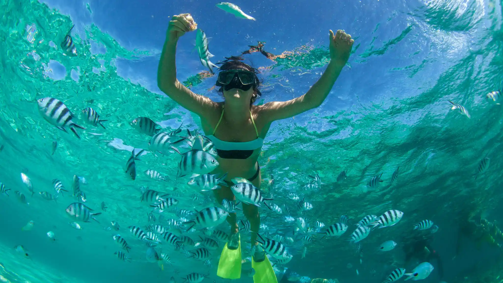 Nws St Indian Ocean Snorkelling