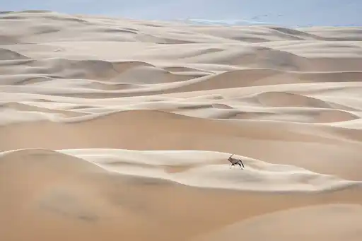Ac Namibia Serra Cafema