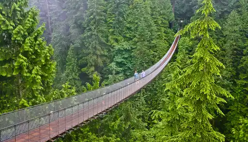 St Canada Vancouver Capilano Suspension Bridge Shutterstock Yingna Cai