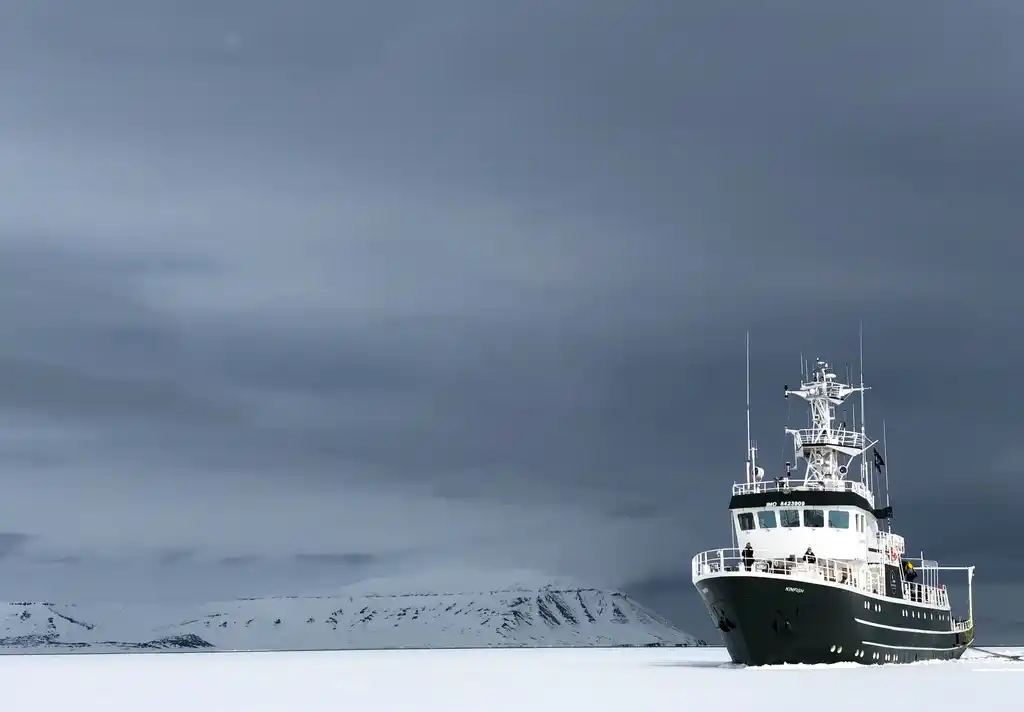 Nws Svalbard Kinfish Will Bolsover