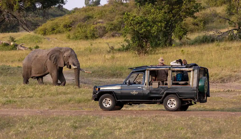 Kicheche Mara Camp