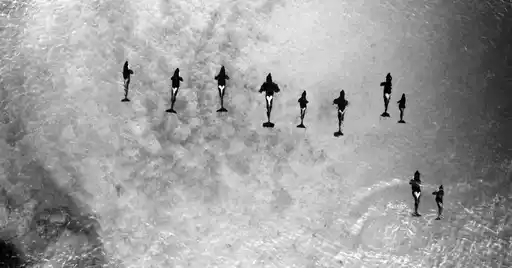 Orca Family Above Bw Credit Patrick Dykstra